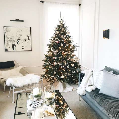 Image by @daniellemoss_