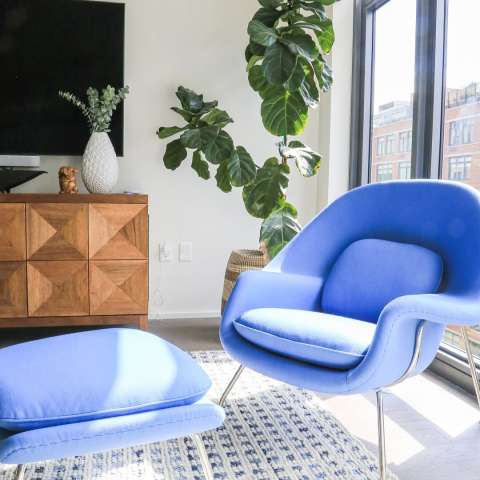 Image by julietaalvarez Image by julietaalvarez