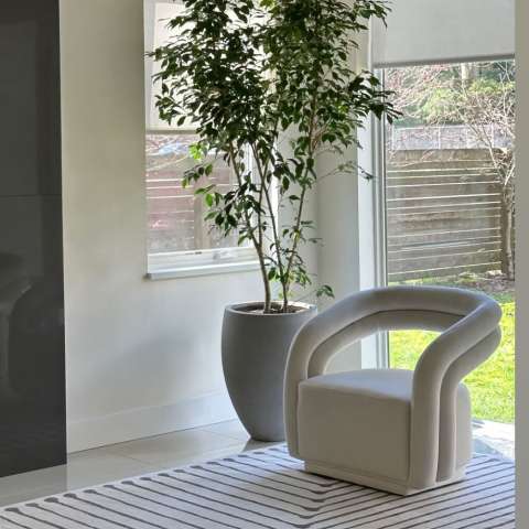 Image by @theplantjunkie