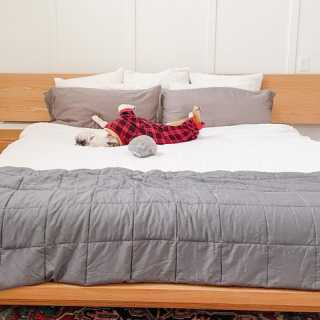 Image by Nacho the Bull Dog Image by Nacho the Bull Dog