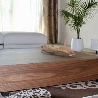 Image by Chinzo Byambaa